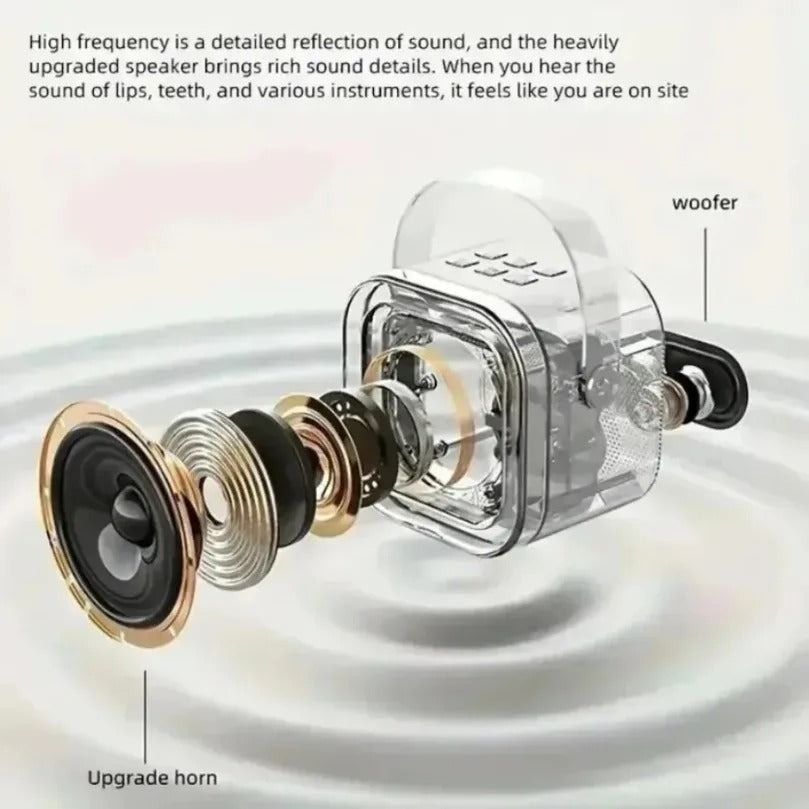 Mini Karaoke Machine with 2 Wireless Microphones - Portable Bluetooth Speaker (KTV System)