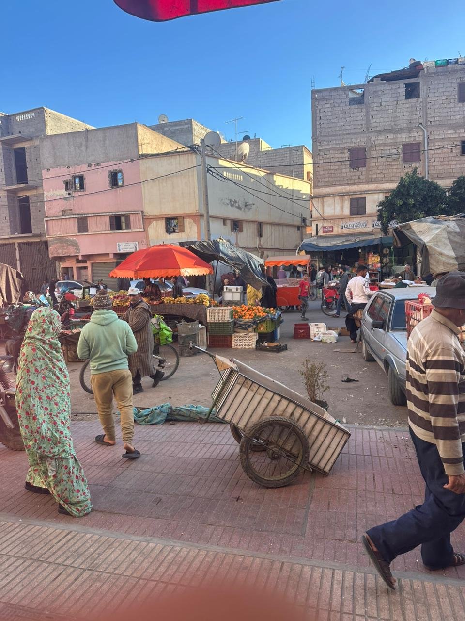 الفروسية - صورة 3