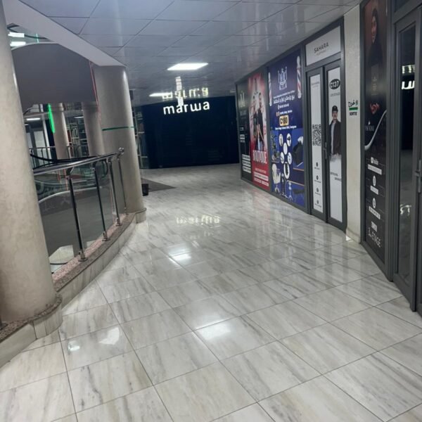 الفروسية